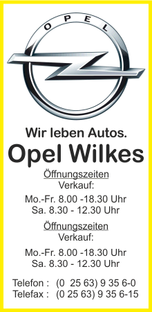 Autohaus Wilkes